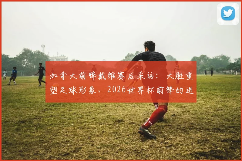 加拿大前锋戴维赛后采访:大胜重塑足球形象,2026世界杯前锋的进球职责解析与展望